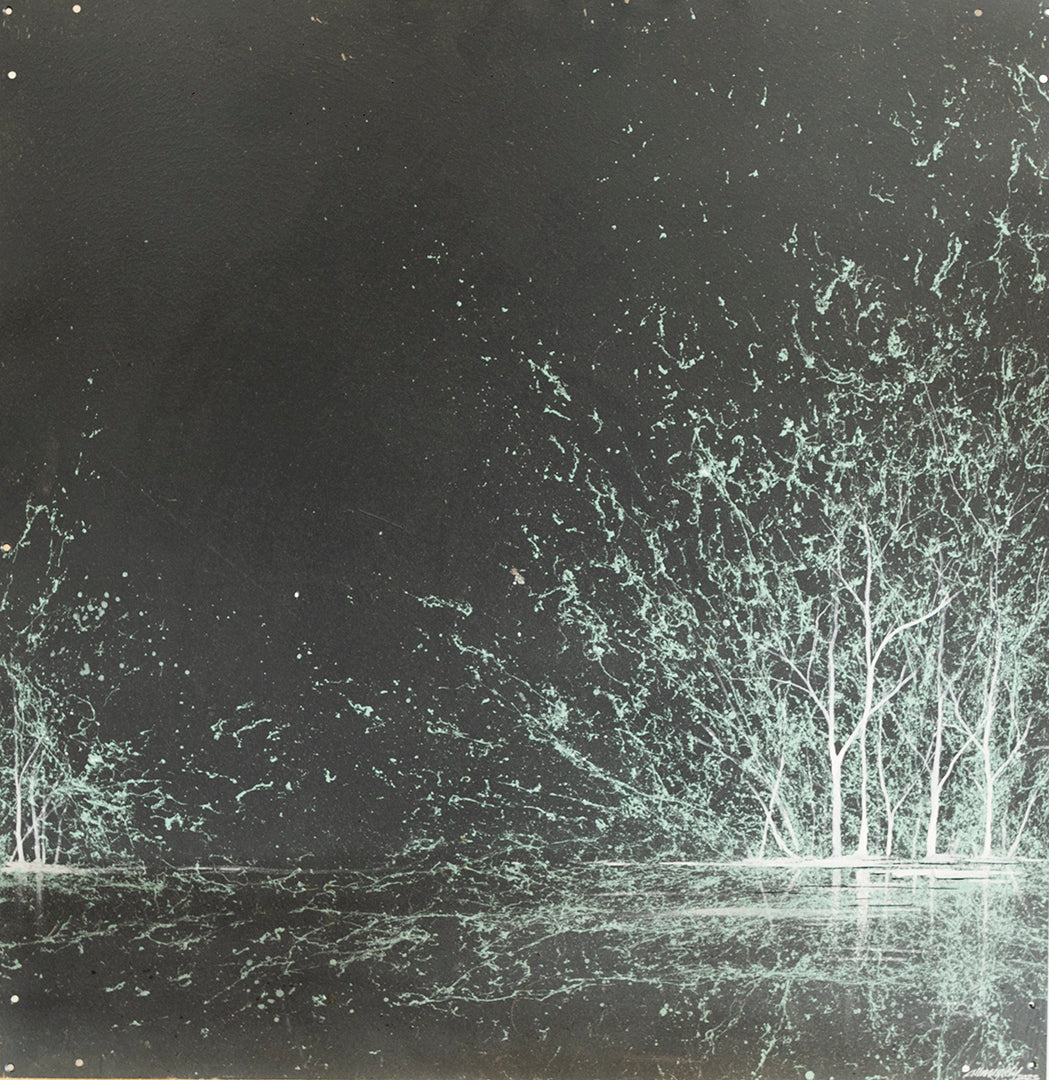 Negative Woodbrations